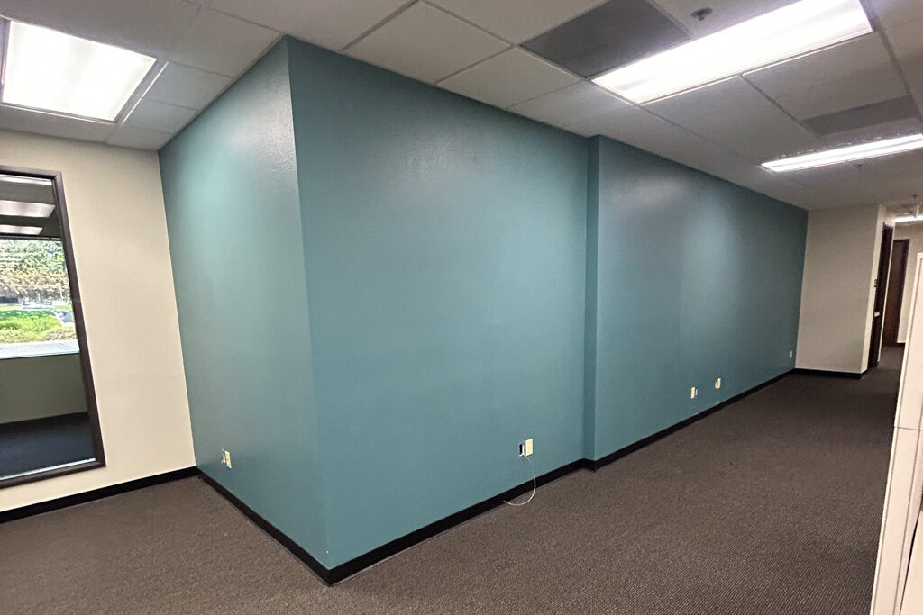 PPS - Professional Painting Services - Commercial Painting