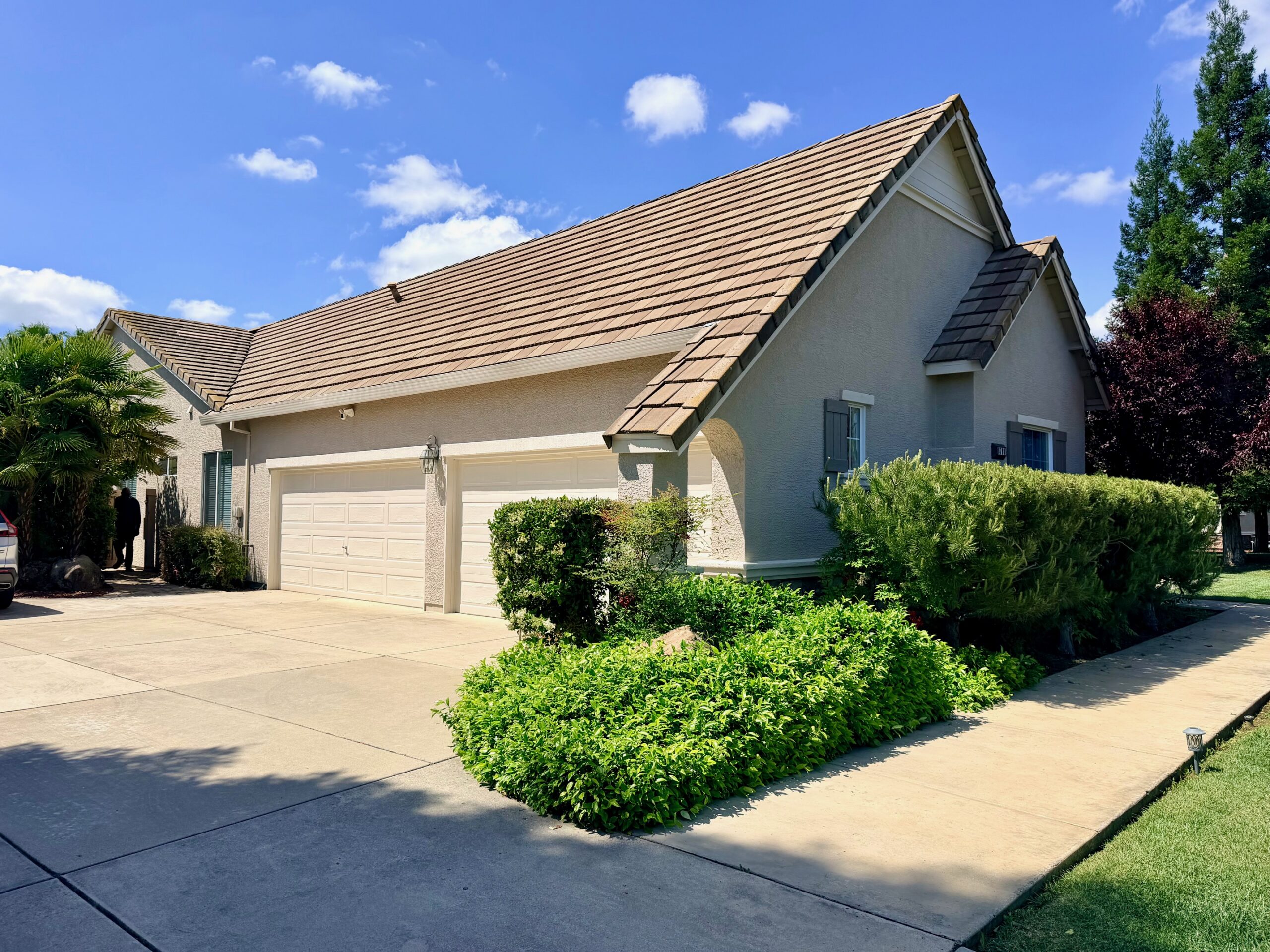 Exterior Paint