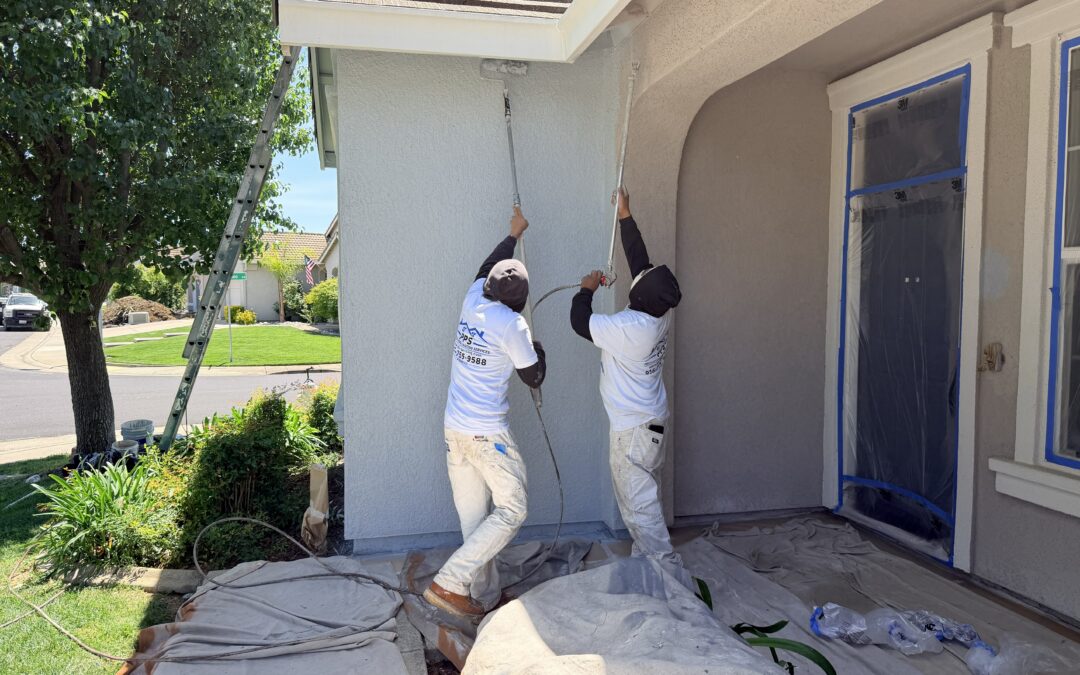 Professional Painting Services: Complete Guide for Homeowners & Businesses