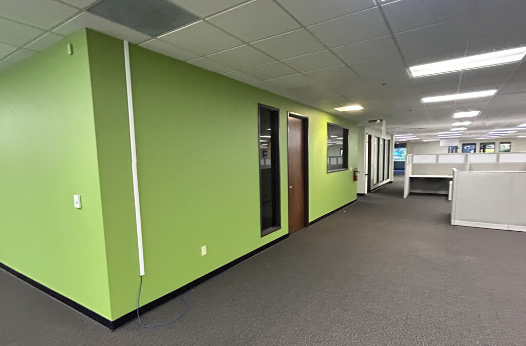 Commercial Painting Services: Complete Business Guide